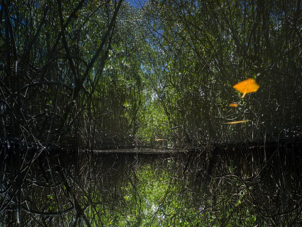 Pousada La Bonita Baía Formosa Εξωτερικό φωτογραφία